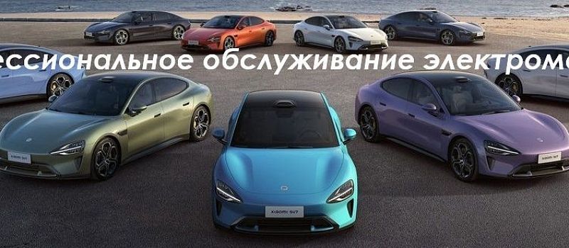 Профессиональное обслуживание электромобилей